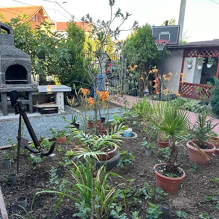 Pansiyon Casa Vio Parter Eforie Nord